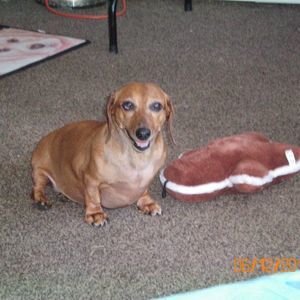 Meet your Posher, Dani